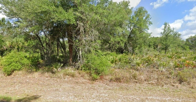 1553 Frisco Ter, Port Charlotte, FL 33953 - photo 7