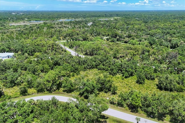 1561 Frisco Ter, Port Charlotte, FL 33953 - photo 2