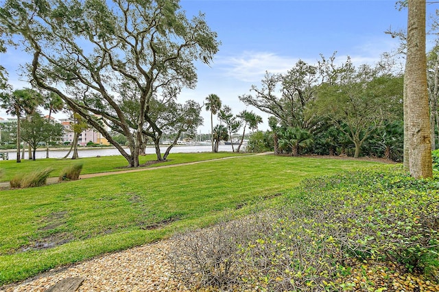 view of yard with a water view