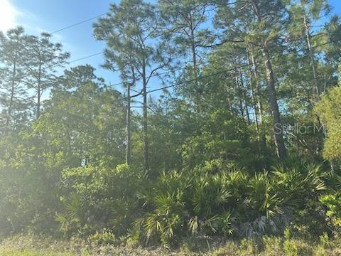 6044 Nutwood Ave, Bunnell FL, 32110 land for sale