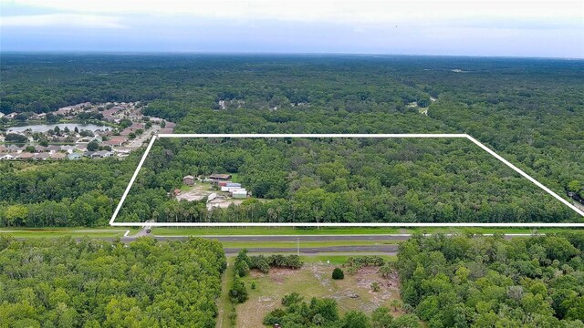 3145 W Indian River Blvd, Edgewater, FL 32132 - photo 2