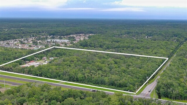 3145 W Indian River Blvd, Edgewater, FL 32132 - photo 3
