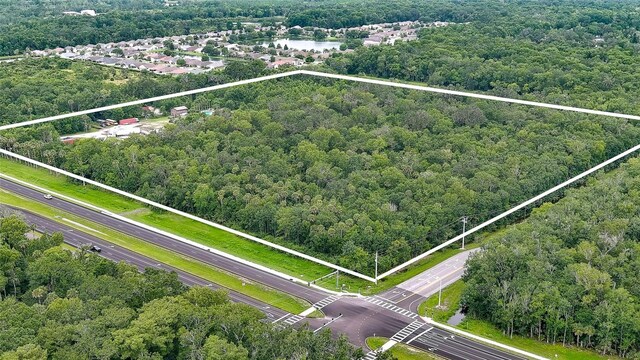 3145 W Indian River Blvd, Edgewater, FL 32132 - photo 4