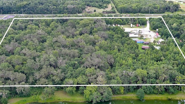 3145 W Indian River Blvd, Edgewater, FL 32132 - photo 5