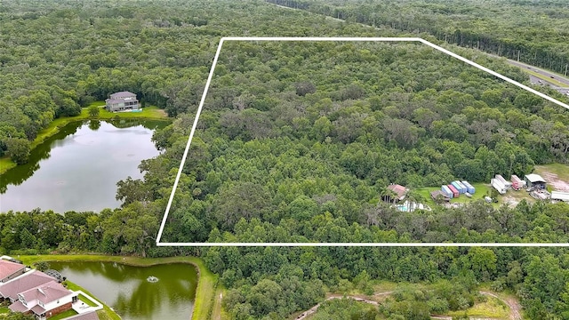 3145 W Indian River Blvd, Edgewater, FL 32132 - photo 7