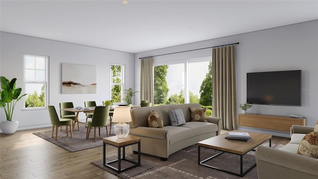 living room featuring wood-type flooring