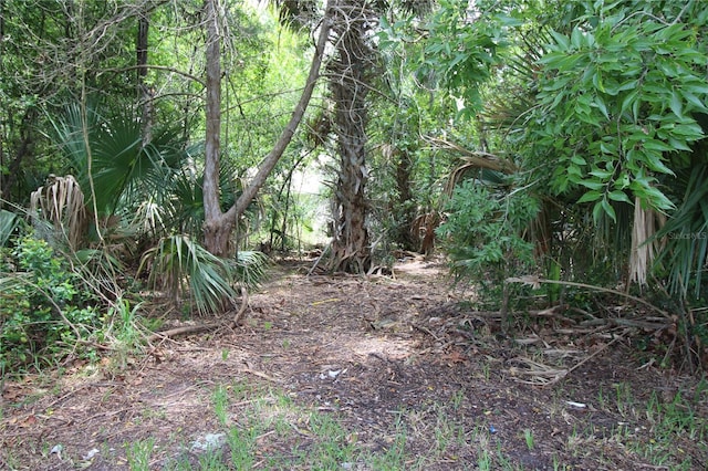 6 Commander Ln, Palm Coast, FL 32137 - photo 6
