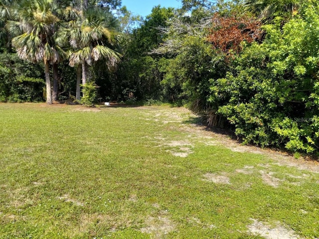 Heineman St, Daytona Beach FL, 32114 land for sale