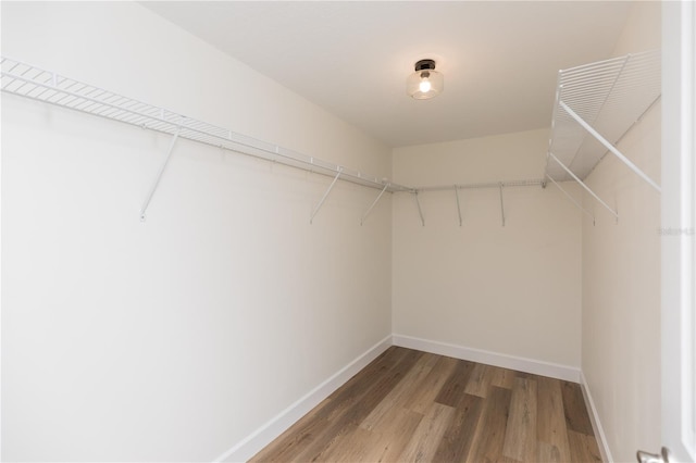 walk in closet with wood-type flooring