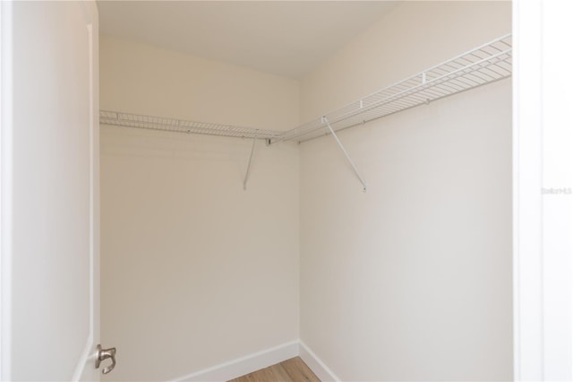 walk in closet with hardwood / wood-style flooring