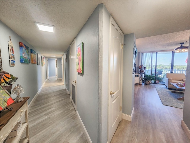 hallway featuring a textured ceiling, floor to ceiling windows, and light hardwood / wood-style flooring