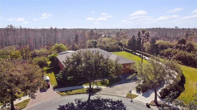 drone / aerial view with a forest view