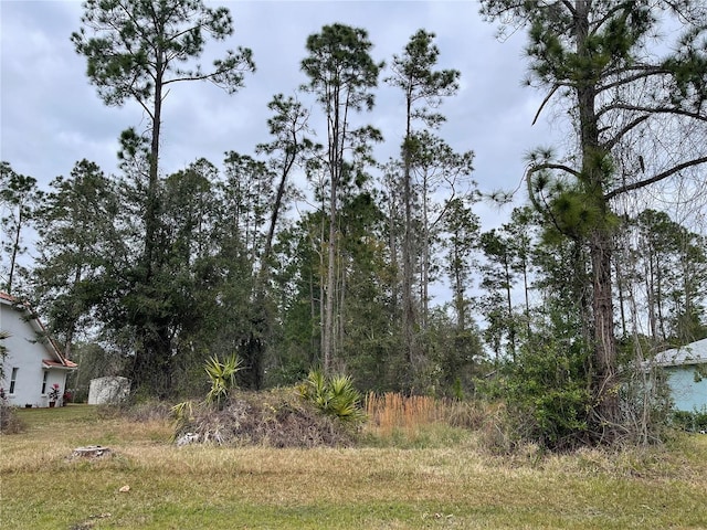 49 Kathleen Trl, Palm Coast FL, 32164 land for sale