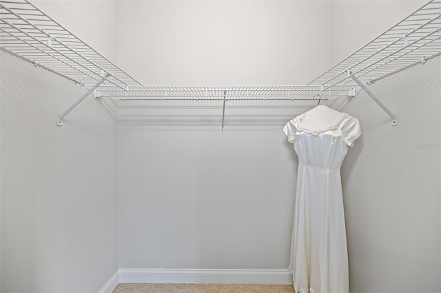 view of spacious closet