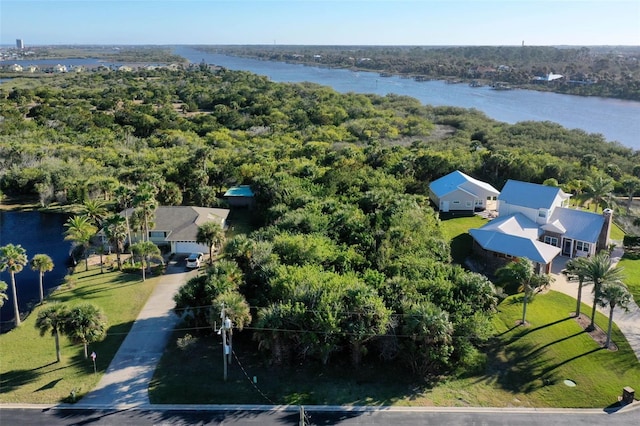 87 Hawks Ln, Flagler Beach, FL 32136