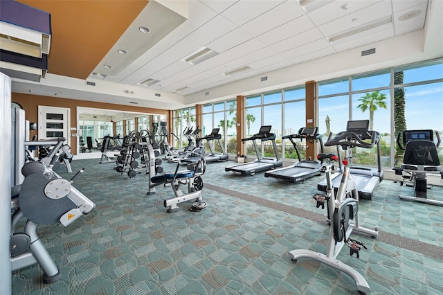 workout area with dark colored carpet