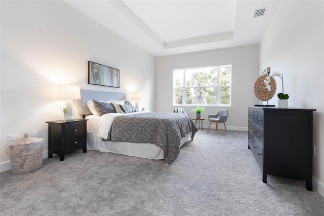 carpeted bedroom featuring a tray ceiling