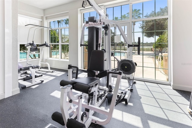 exercise room featuring plenty of natural light