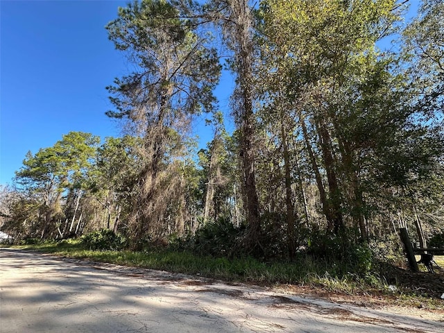 220 Amberjack St, Satsuma FL, 32189 land for sale