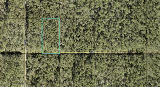 XX Nash St, Hastings FL, 32145 land for sale