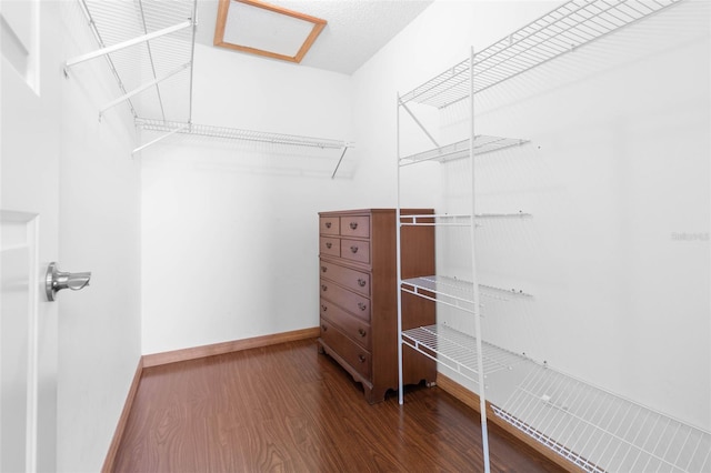 walk in closet featuring dark wood-type flooring