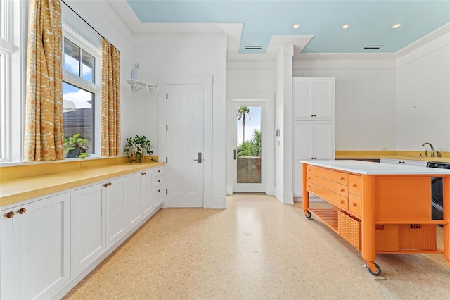 foyer featuring ornamental molding