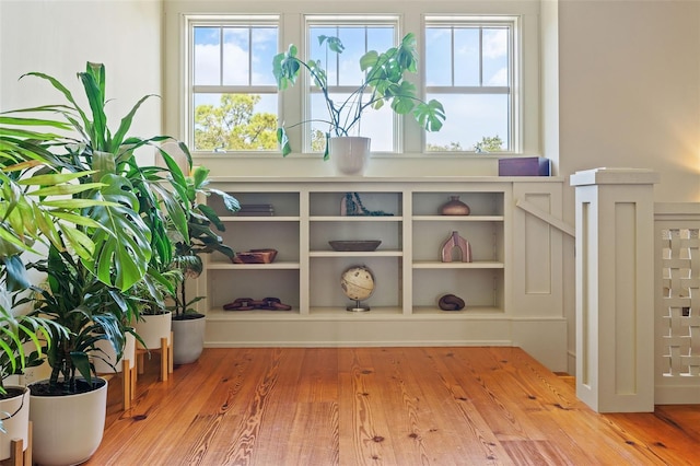 interior space with light wood-type flooring and plenty of natural light