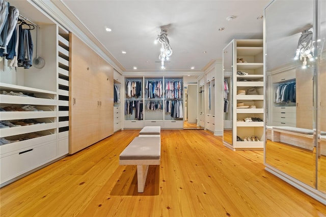 interior space featuring light wood-type flooring and crown molding