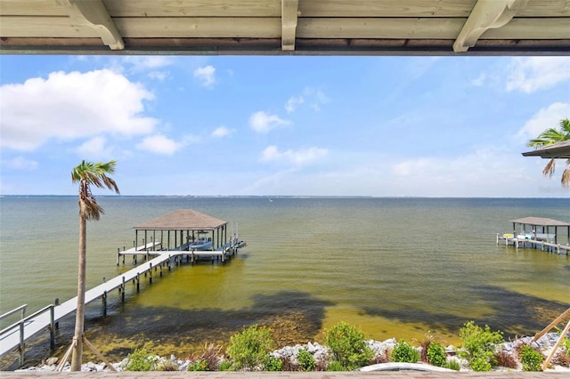 dock area with a water view