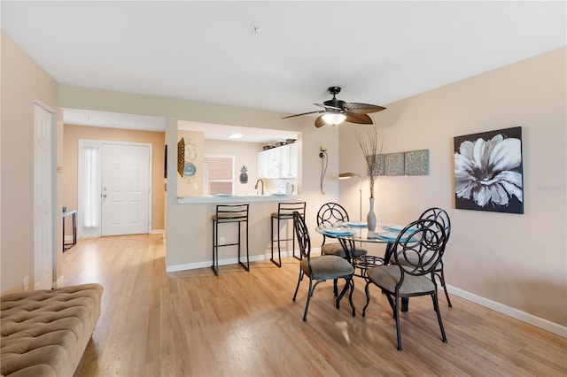 dining room featuring ceiling fan, sink, and light wood-type flooring