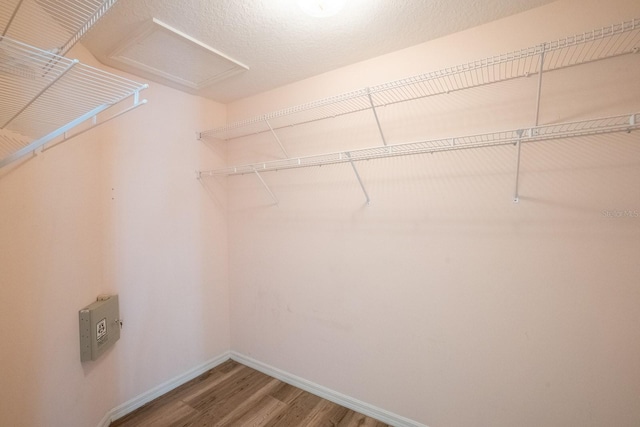 spacious closet featuring wood-type flooring