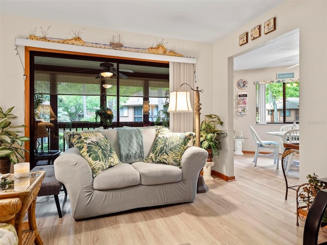 living room with ceiling fan, a healthy amount of sunlight, and light wood-type flooring