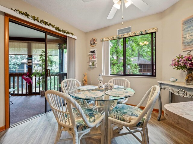 dining space featuring ceiling fan and light hardwood / wood-style flooring