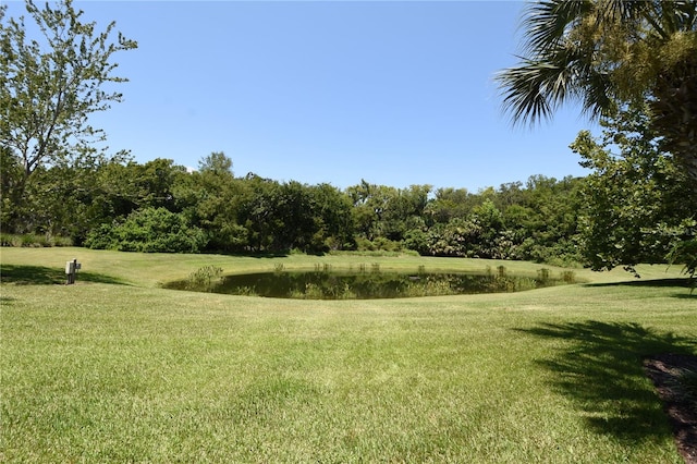 view of yard featuring a water view