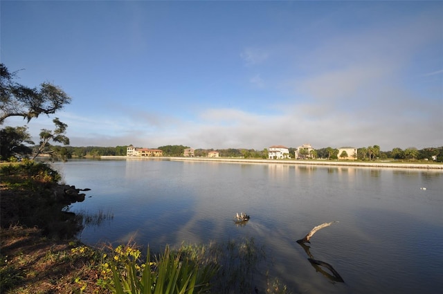 view of property view of water