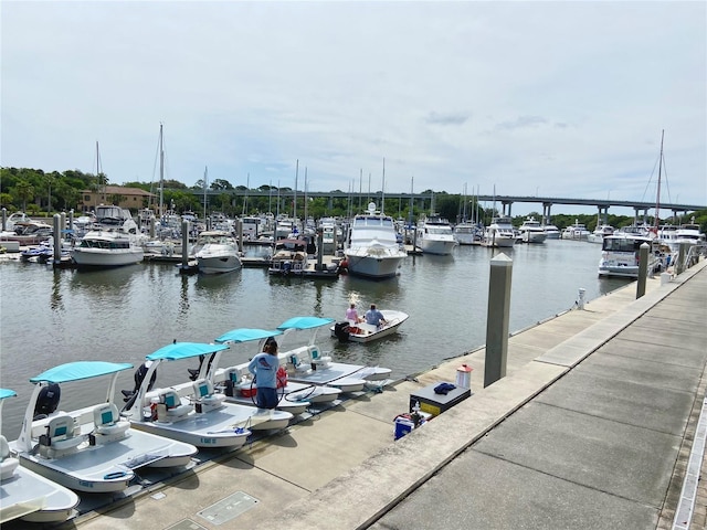 dock area featuring a water view