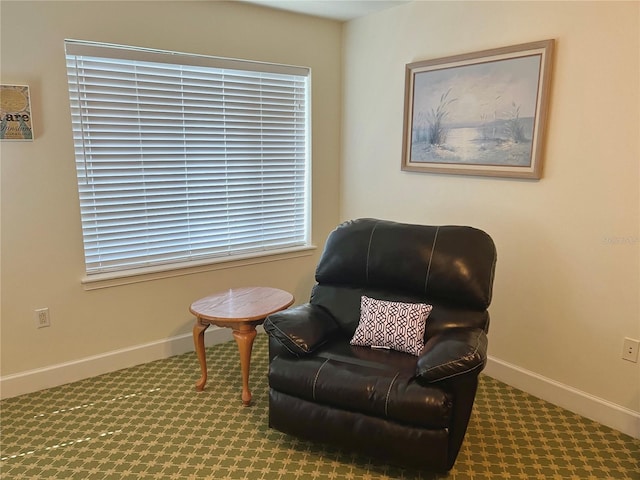 living area with carpet