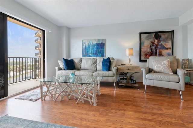 living room with light hardwood / wood-style floors and a textured ceiling