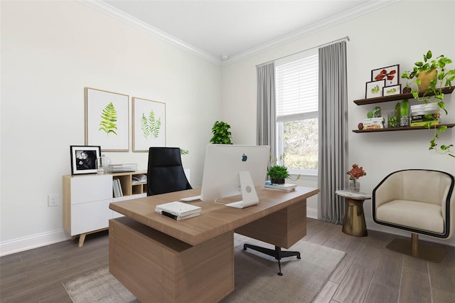 office area with dark hardwood / wood-style flooring and crown molding