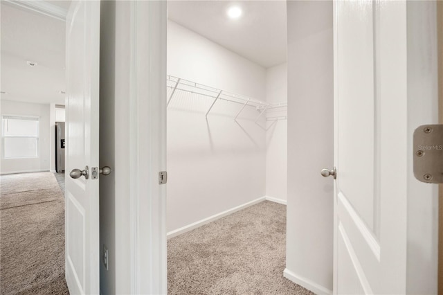 spacious closet featuring light carpet