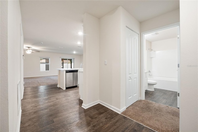 corridor featuring dark hardwood / wood-style floors