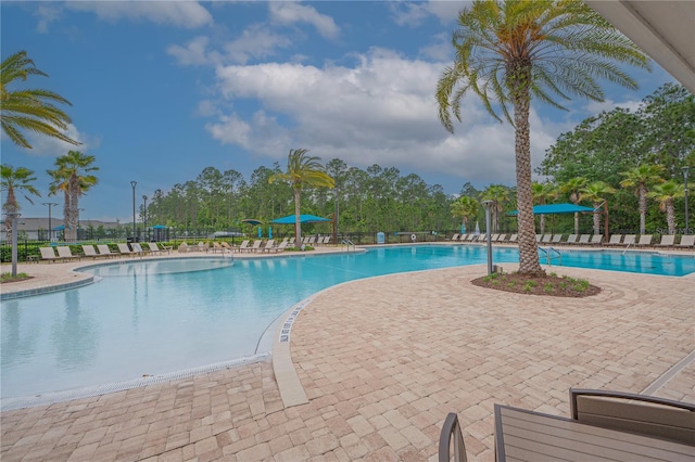 view of swimming pool featuring a patio area