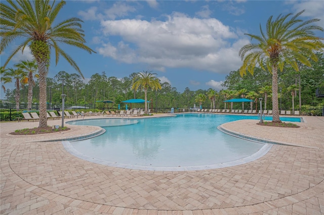 view of pool featuring a patio