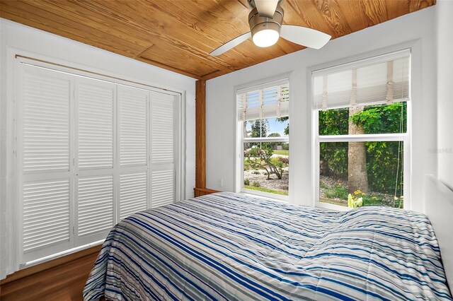 bedroom featuring a closet, dark hardwood / wood-style flooring, wooden ceiling, and ceiling fan