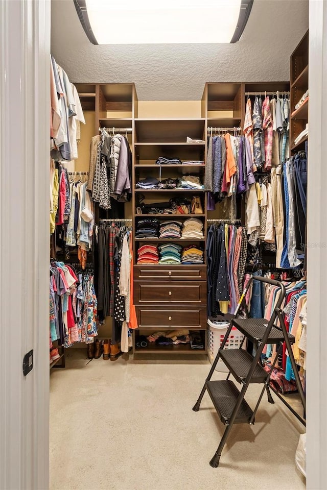 walk in closet with carpet floors