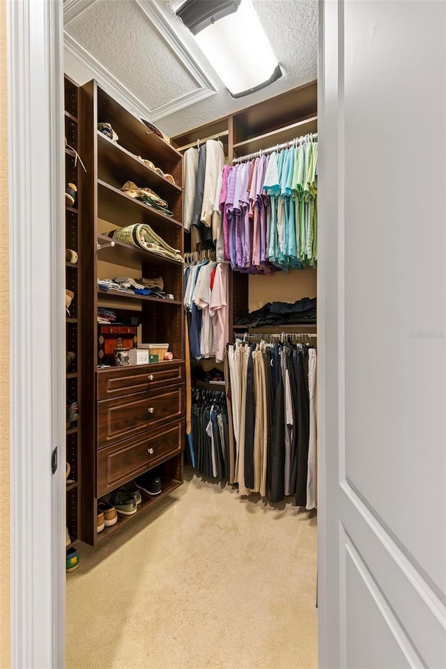 walk in closet featuring light colored carpet