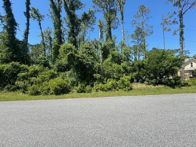 62 Emerson Dr, Palm Coast FL, 32164 land for sale