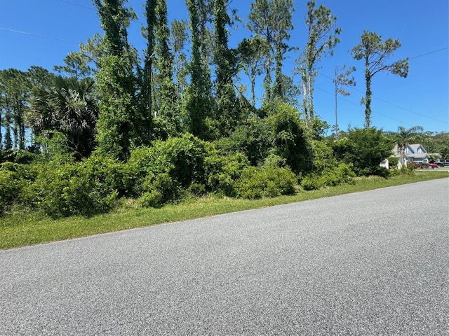 64 Emerson Dr, Palm Coast FL, 32164 land for sale