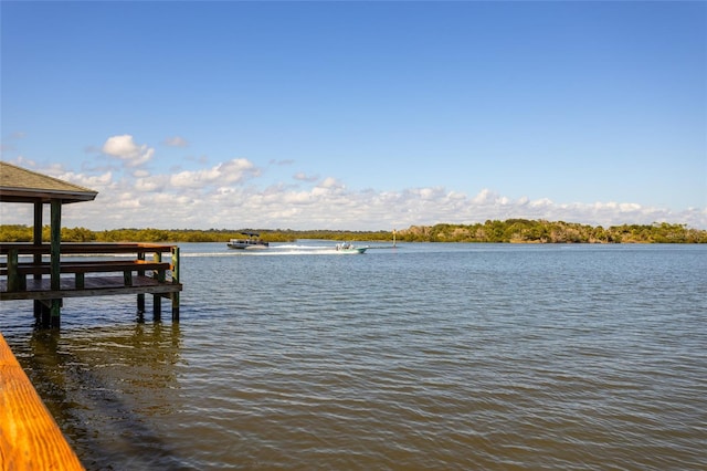 dock area featuring a water view