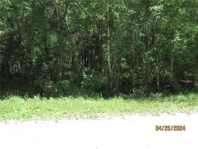 4062 Walnut Ave, Bunnell FL, 32110 land for sale